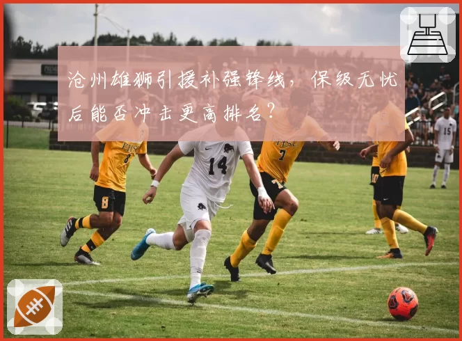 沧州雄狮引援补强锋线,保级无忧后能否冲击更高排名?