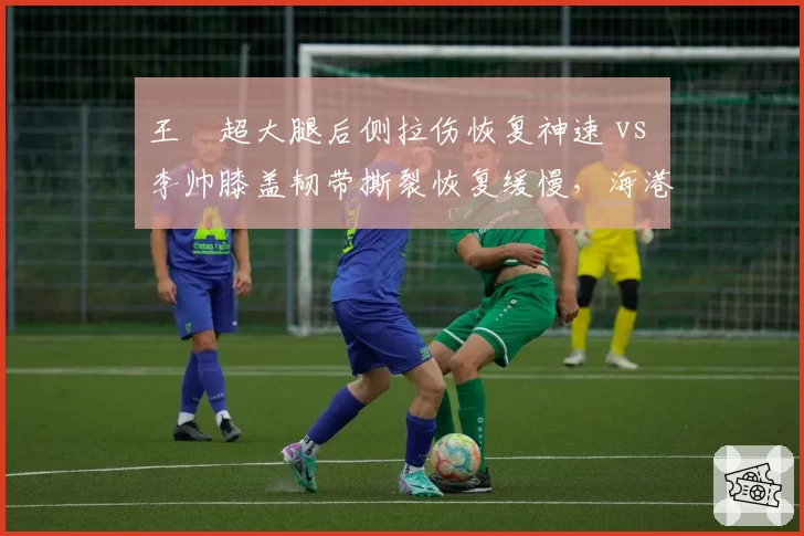 王燊超大腿后侧拉伤恢复神速 vs 李帅膝盖韧带撕裂恢复缓慢,海港左后卫康复进度对比